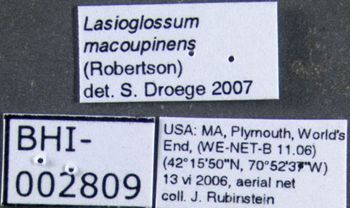 Media type: image;   Entomology 610493 Aspect: labels